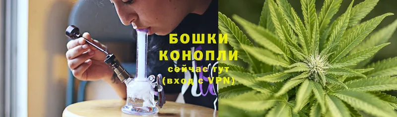 закладка  Ясногорск  Каннабис SATIVA & INDICA 